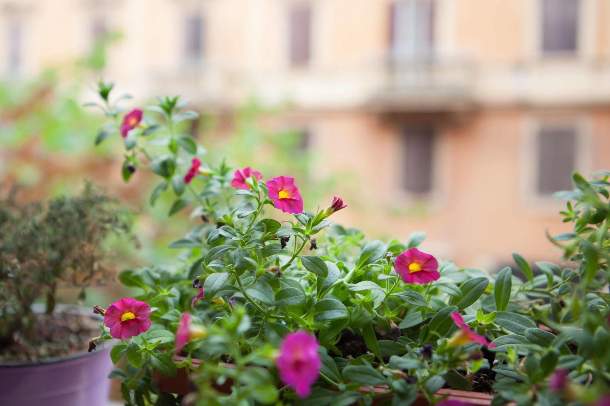 B&B Vatican'S Keys Rome Bagian luar foto